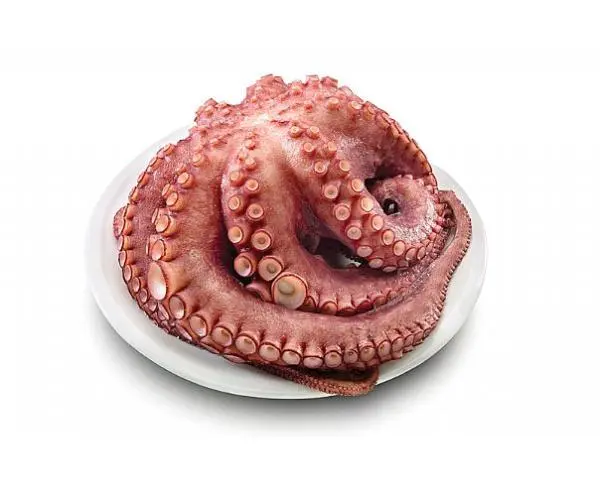 Pulpo de mar